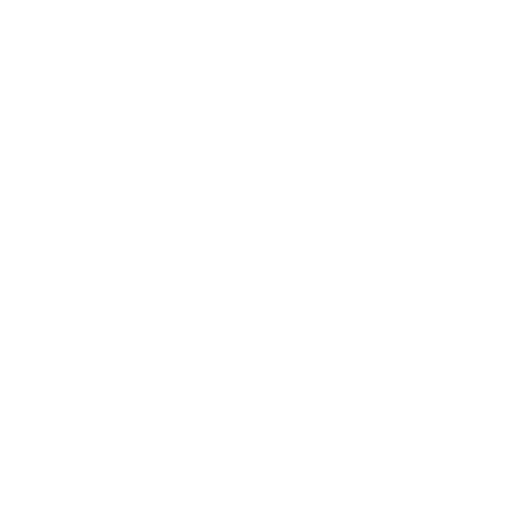 Custom Solutions